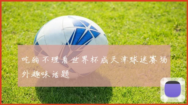 吃狗不理看世界杯成天津球迷赛场外趣味话题