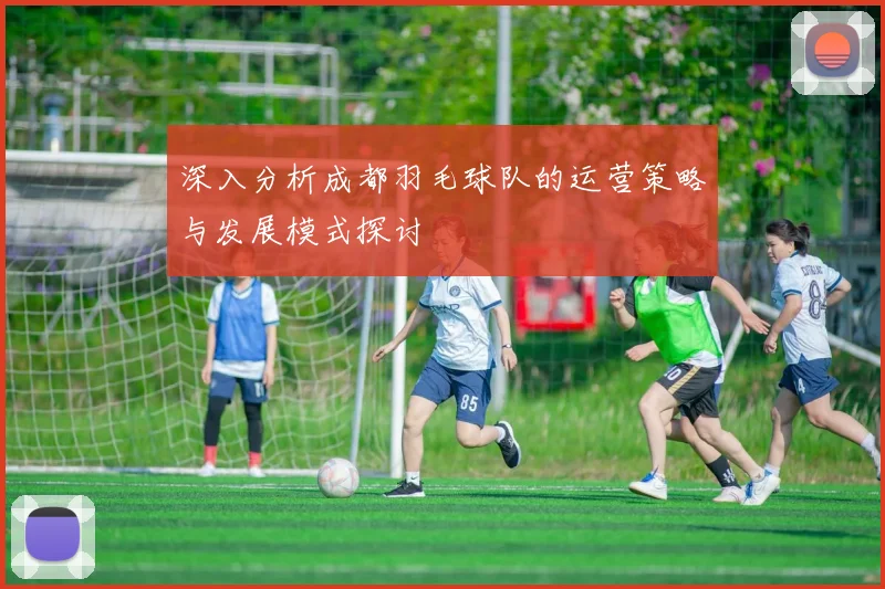 深入分析成都羽毛球队的运营策略与发展模式探讨