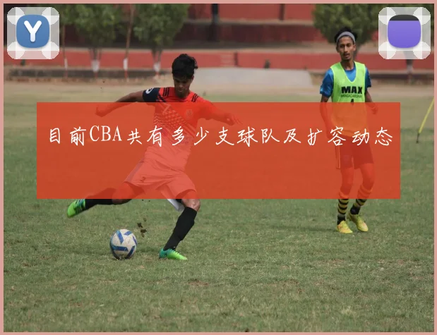 目前CBA共有多少支球队及扩容动态